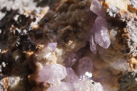 MADDALENACAPRERA (3).JPG